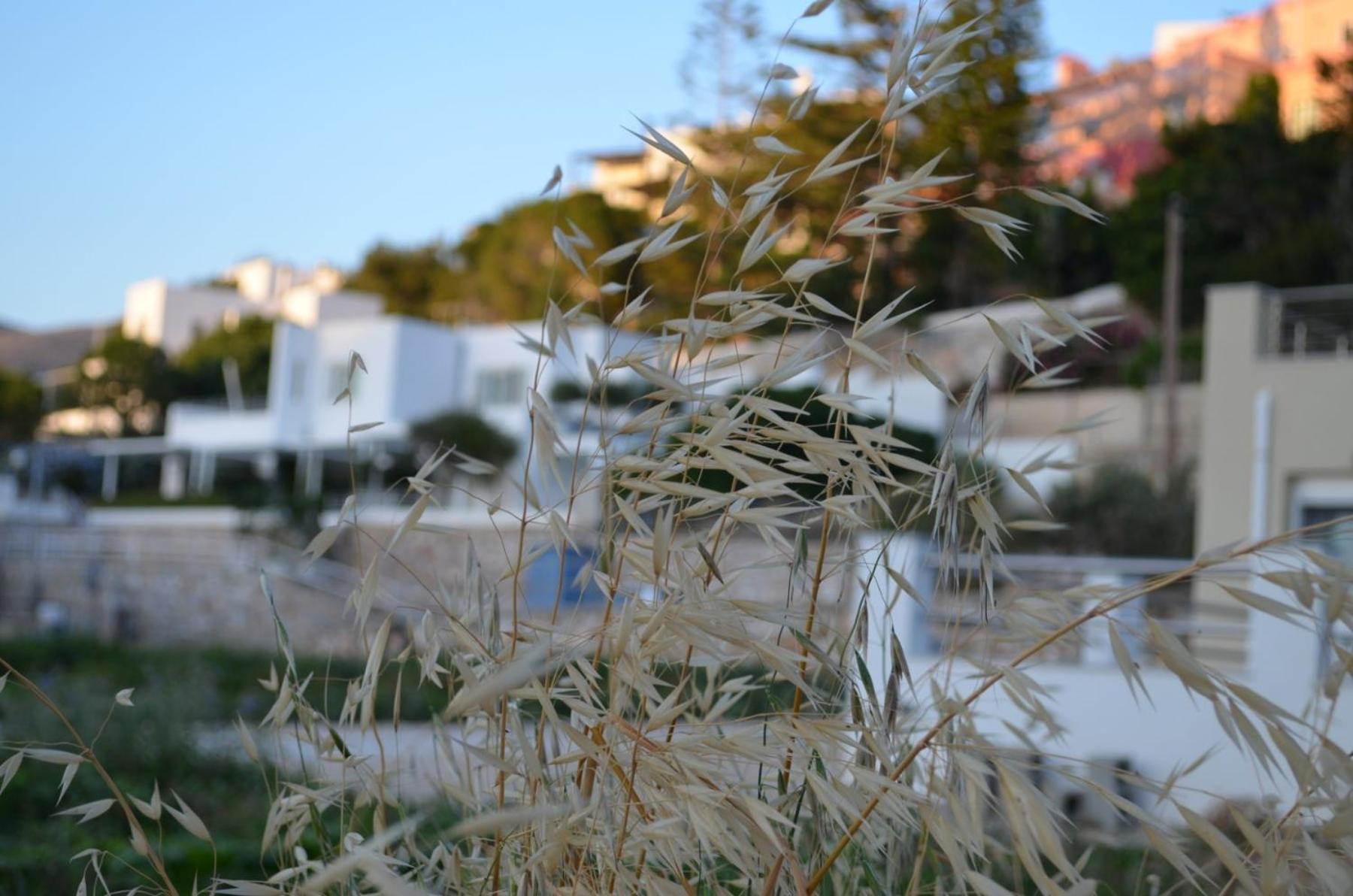 White Lotus Seaside Apartment Kini Exteriör bild